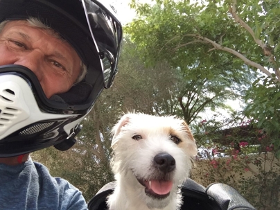 a man wearing a motorcycle helmet poses with his small brown-and-white terrier