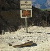 rattlesnake trespassers